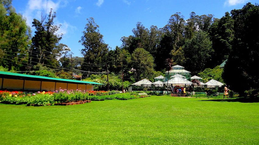 Ooty Botanical Garden
