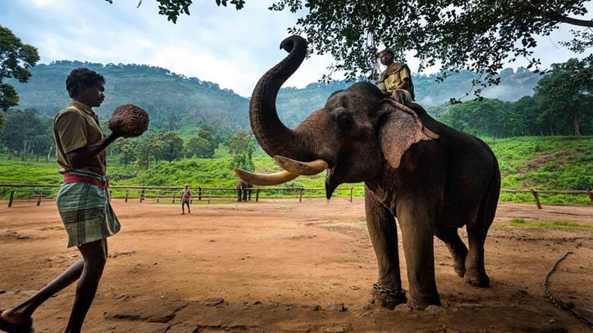 Topslip Valparai Tour Package