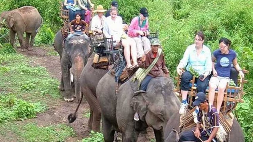 topslip-parambikulam-tours2